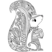 Squirrel covered in mandala patterns coloring page