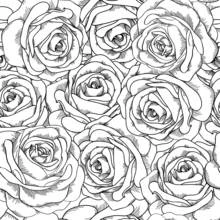 Bouquet of roses in full bloom coloring page
