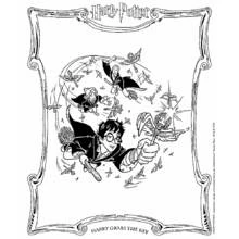 Harry Potter grabbing the flying key coloring page