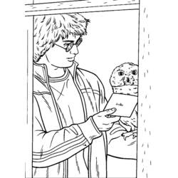 Harry Potter reading a letter from his owl coloring page