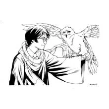 Harry Potter with Hedwig the owl on his arm coloring page