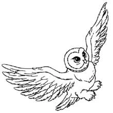Hedwig the owl flying with wings spread coloring page