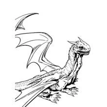 Dragon with spread wings from Harry Potter coloring page