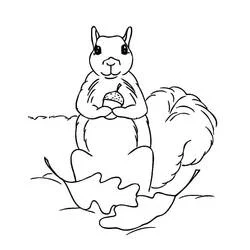 Acorn coloring page #218503 to print and color