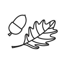 Acorn coloring page #218504 to print and color