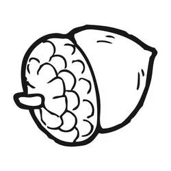 Acorn coloring page #218508 to print and color