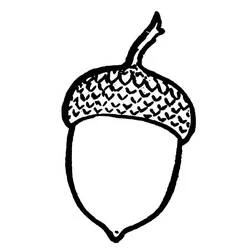 Acorn coloring page #218510 to print and color