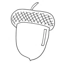 Acorn coloring page #218511 to print and color
