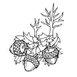 Acorn coloring page #218516 to print and color