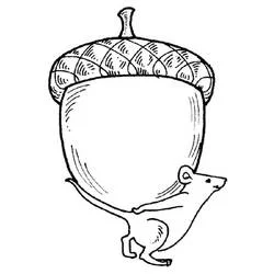 Acorn coloring page #218518 to print and color