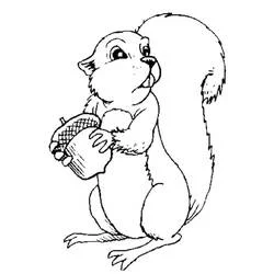 Acorn coloring page #218521 to print and color