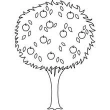 Apple tree - Free printable coloring pages