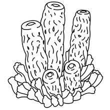 Tube-shaped coral formation coloring page