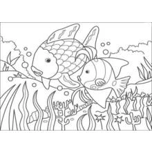 Two fish swimming above coral coloring page