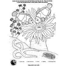 Coral reef with clown fish and sea anemone coloring page