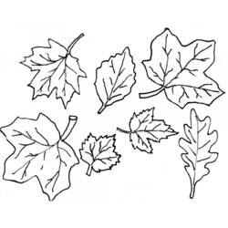 Collection of autumn leaves coloring page