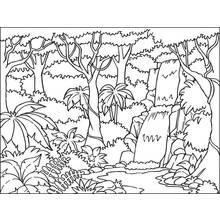 Forest - Free printable coloring pages