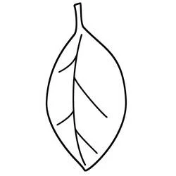 Leaf - Free printable coloring pages