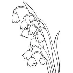 Lily of the Valley - Free printable coloring pages