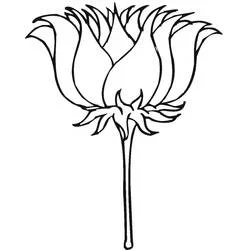 Lotus - Free printable coloring pages