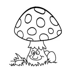 Mushroom - Free printable coloring pages
