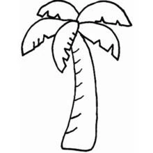 Palm tree - Free printable coloring pages