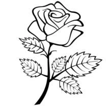 Rose with spiral center and serrated leaves coloring page