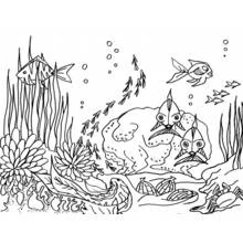 Fish swimming over a coral seabed coloring page
