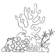 Coral branch on a rocky reef coloring page