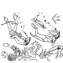 Divers exploring the seabed coloring page