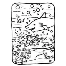 Shark swimming with a school of fish coloring page