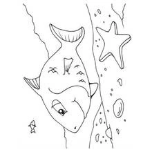 Big fish swimming near a starfish coloring page