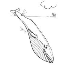 Whale swimming near the surface with a small island coloring page