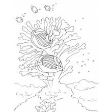 Fish swimming near coral branches coloring page