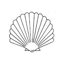 Shell - Free printable coloring pages