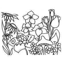 Spring Season - Free printable coloring pages