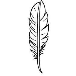 Feather with a straight quill coloring page
