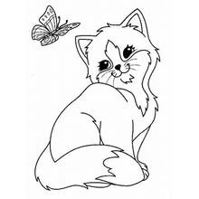 Cat glancing back at butterfly coloring page