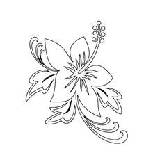 Hibiscus flower tattoo design coloring page