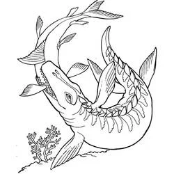 Mosasaurus coloring page #218361 to print and color