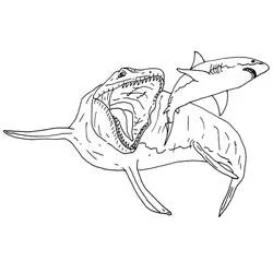 Mosasaurus coloring page #218374 to print and color