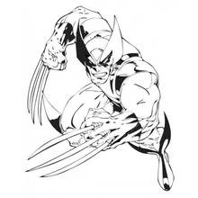 Wolverine crouching with claws extended coloring page