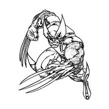 Wolverine crouching with claws extended coloring page
