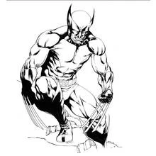 Wolverine crouching with claws extended coloring page