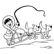 Dog Sled - Free printable coloring pages