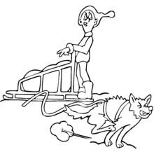 Dog sled musher with a running sled dog coloring page