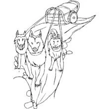 Dog Sled with three huskies pulling harnesses coloring page