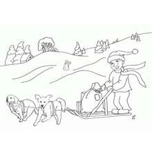 Boy driving a dog sled through winter scenery coloring page