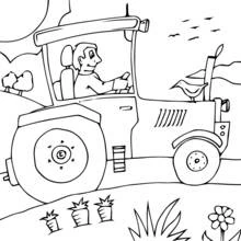 Tractor driven by a farmer in the countryside coloring page