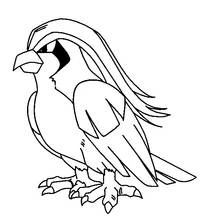 Pidgeot standing with feathers flowing coloring page
